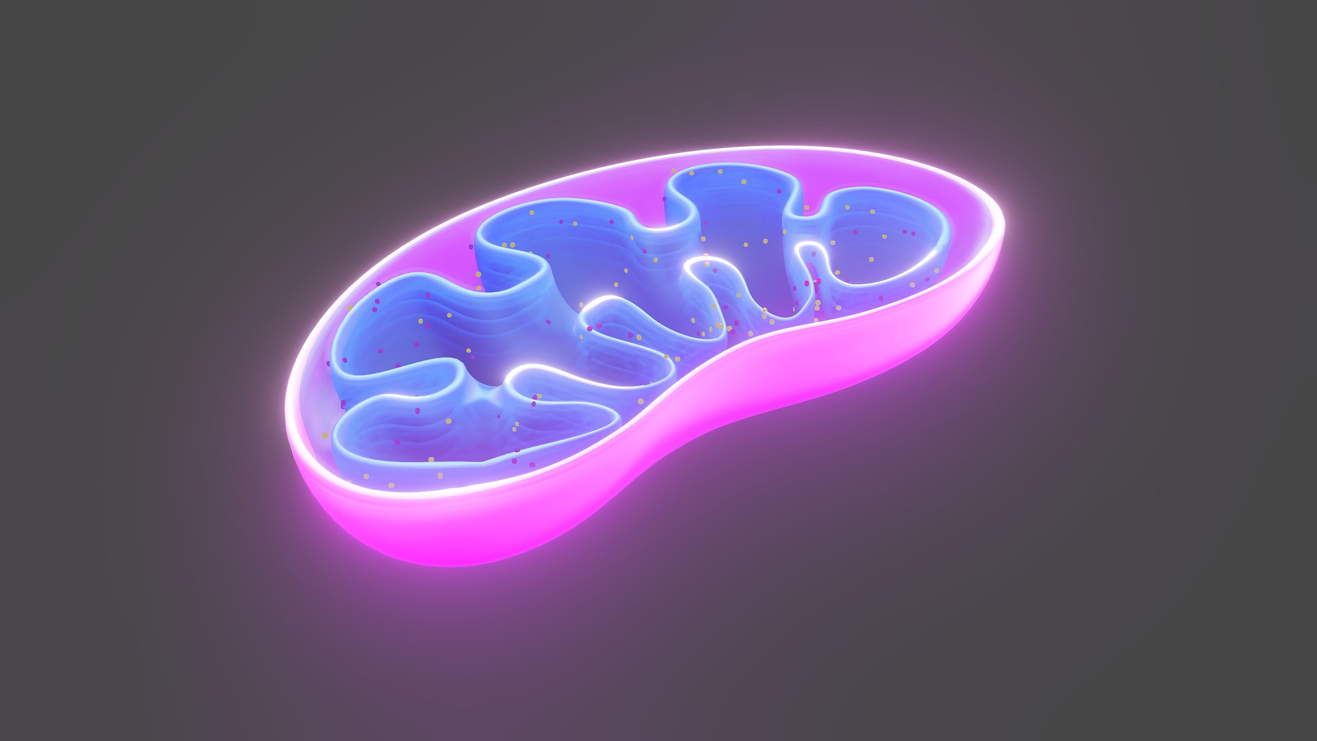 La mitocondria como marcador para el diagnóstico entre la esquizofrenia y el trastorno bipolar. Rol del interactoma.